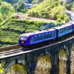 From Galle/Weligama/Mirissa: Day Trip to Experience Ella - What’s Included and What to Budget For