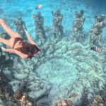 From Gili Air: Snorkeling with Turtles & Underwater Statue - Why This Tour Offers Great Value