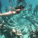 From Gili Air/Trawangan: Glass-Bottom Boat with Snorkeling - Authentic Insights from Travelers