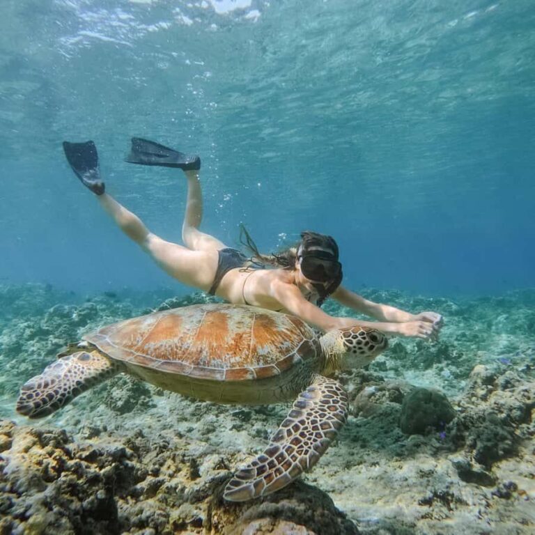 From Gili Meno: Private Snorkeling with Turtle & Statue - What to Keep in Mind