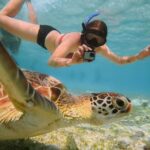 From Gili Trawangan: Gili Islands Snorkeling Boat Tour - Who Should Book This Tour?
