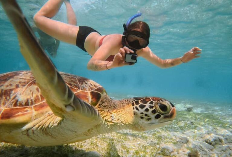 From Gili Trawangan: Gili Islands Snorkeling Boat Tour - Who Should Book This Tour?