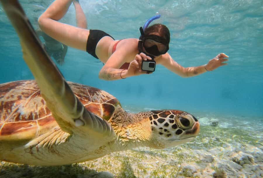 From Gili Trawangan: Gili Islands Snorkeling Boat Tour - Who Should Book This Tour?