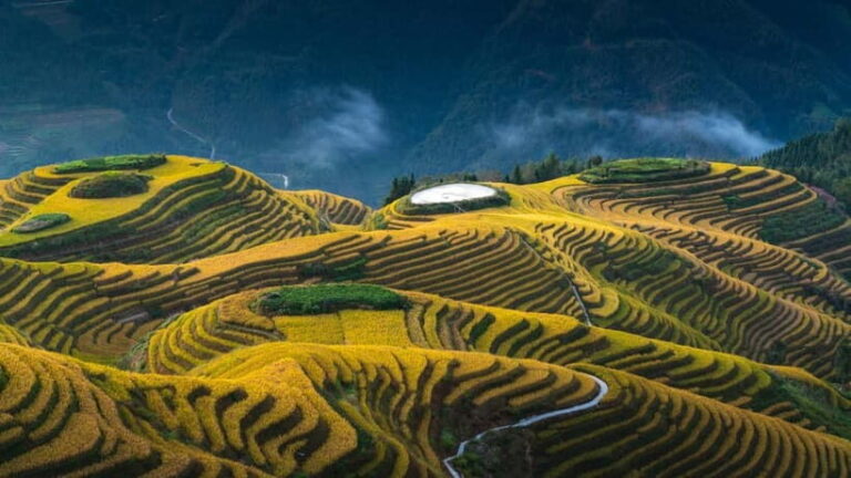 From Guilin: 1-Day Private Longji Rice Terraces Tour - Exploring the Itinerary: From Guilin to the Terraces and Beyond