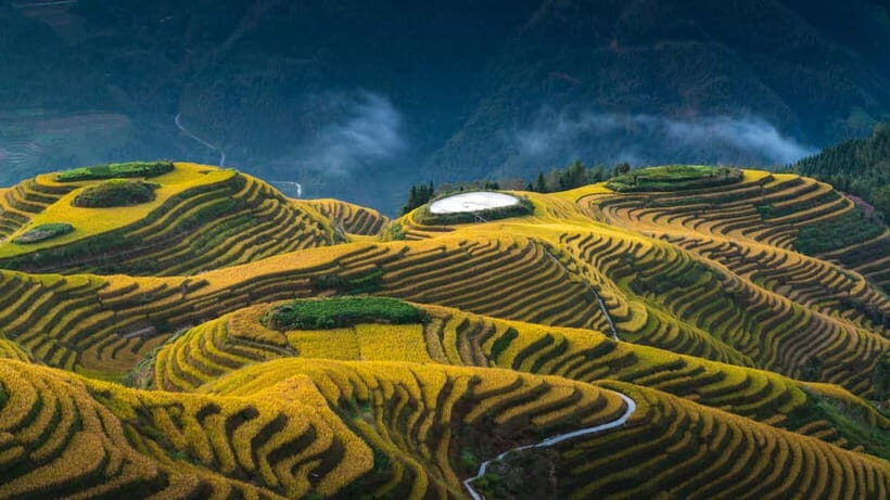 From Guilin: 1-Day Private Longji Rice Terraces Tour - Exploring the Itinerary: From Guilin to the Terraces and Beyond