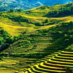 From Ha Giang: Motorbike Tour 3D2N (Small Group with Easy Riders) - Transportation, Accommodation, and Value