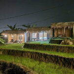 From Hà Ni ; Mu Cang Chai 3 Days 2 Nights By Car and Trekking - Who Is This Tour Best For?