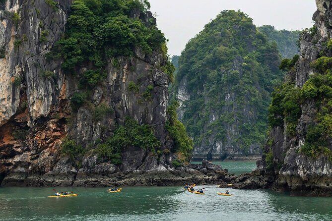 From Ha Noi/Cat Ba: Lan Ha bay - Ha Long Bay Cruise Guided 1-Day - Authentic Insights from Travelers