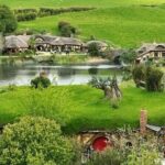 From Hamilton Hobbiton Waitomo Glowworm Caves 1 Day Private Tour - Analyzing the Value