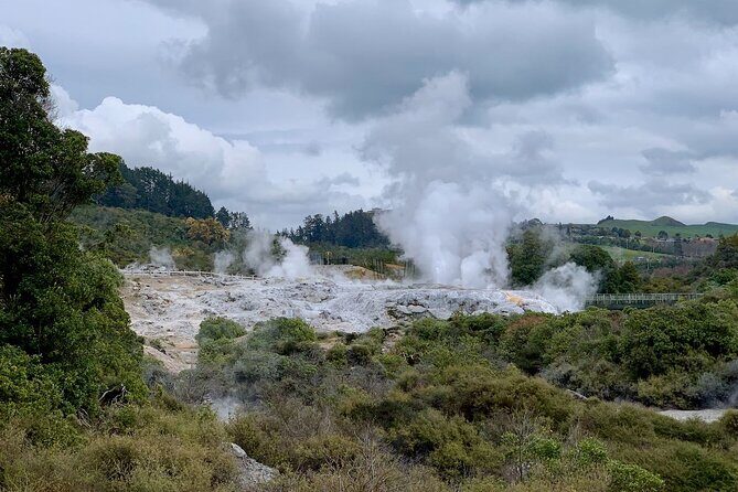 From Hamilton: Living Maori Village, Haka Dance and Blue Springs - Authentic Experience and Unique Insights