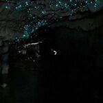 From Hamilton: Waitomo Glowworm & Cave Explorer Small Group Tour - Price and Value Analysis