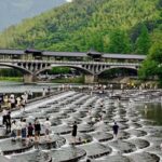 From Hangzhou: Longwu Tea Village, Longmen Town & Dam Tour - An In-Depth Look at the Tour Experience