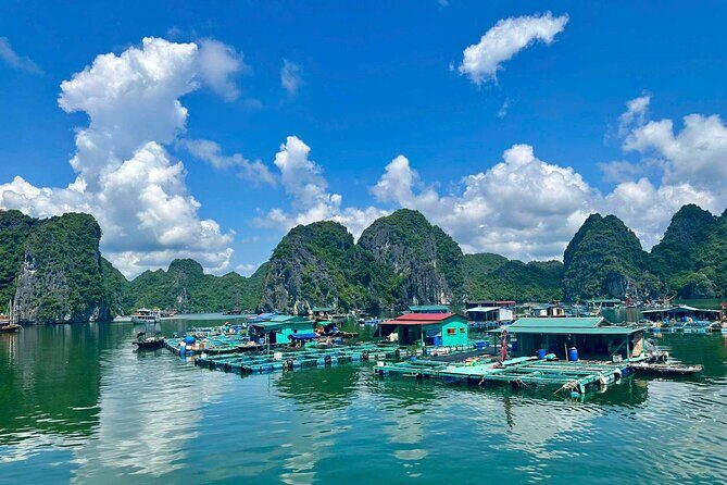 From Hanoi: 2D1N Adventure Cat Ba National Park, Lan Ha Bay - Practical Considerations