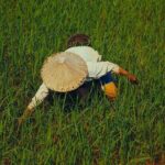 From Hanoi: Discover the Tranquil Beauty of Mai Chau by Bicycle - Practical Tips for the Tour