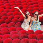 From Hanoi: Explore Incense Village, Conical Hat & Lacquer Art - The Value of the Experience