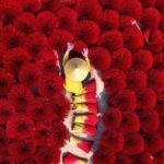 From Hanoi: Half-Day Tour to Incense Village & Conical Hat Craft - Why This Tour Works