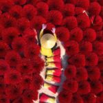 From Hanoi: Incense Village, Conical Hat Crafting & Lacquer Art - What Makes This Tour Stand Out?