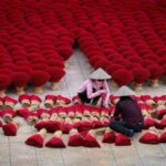 From Hanoi: Incense Village & Ninh Binh Small-Group Journey - In-Depth Look at the Tour