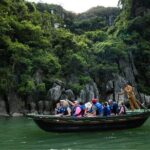 From Hanoi: Luxury Cruise Discover Halong Bay & Buffet Lunch - Who Would Love This Experience?