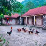 From Hanoi: Luxury Private Tour to Local Family, Tam Coc & Hoa Lu - Practical Considerations