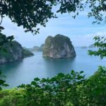 From Hanoi: Off-the-Beaten-Path Bai Tu Long Bay Scenic Cruise - End of the Day: Return and Reflection