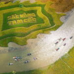 From Hanoi: Tam Coc Boat Trip and Hoa Lu & Mua Cave Tour - Exploring the Itinerary in Detail