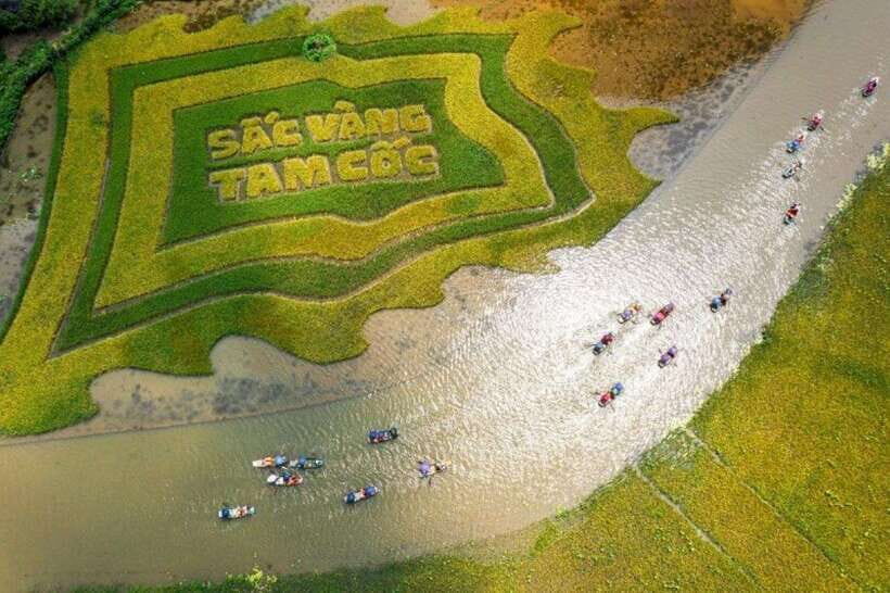 From Hanoi: Tam Coc Boat Trip and Hoa Lu & Mua Cave Tour - Exploring the Itinerary in Detail