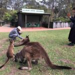 From Haymarket: Hunter Valley Wine and Wildlife Day Trip - The Value of This Hunter Valley Experience