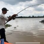 From HCMCMekong Delta Eco Tour: Non-Touristy & Small Group - Who Will Love This Tour?