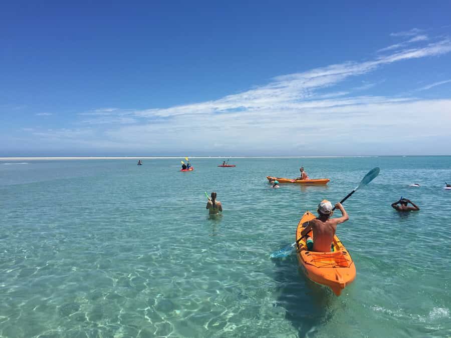 From Hervey Bay: Half-Day K'gari Fraser Island Beach Cruise - Introduction: A Quick Look at the Fraser Island Half-Day Cruise