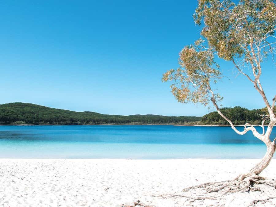 From Hervey Bay: K'Gari (Fraser Island) 4 Day Experience - Who Is This Tour Best For?