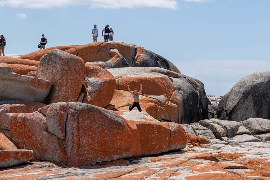 From Hobart: 5-Day Tasmania West & East Coast Tour - Transportation, Guides, and Overall Value