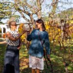 From Hobart: Tasmanian Wine Tour - The Value and Who It’s Perfect For