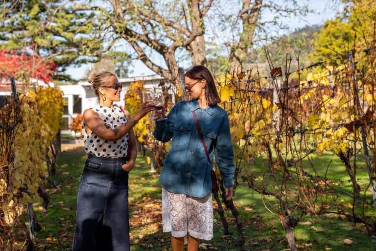 From Hobart: Tasmanian Wine Tour - The Value and Who It’s Perfect For