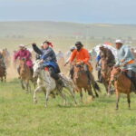 From Hohhot: 8-Day Inner Mongolia Private Tour to Ordos - Why This Tour Offers Great Value