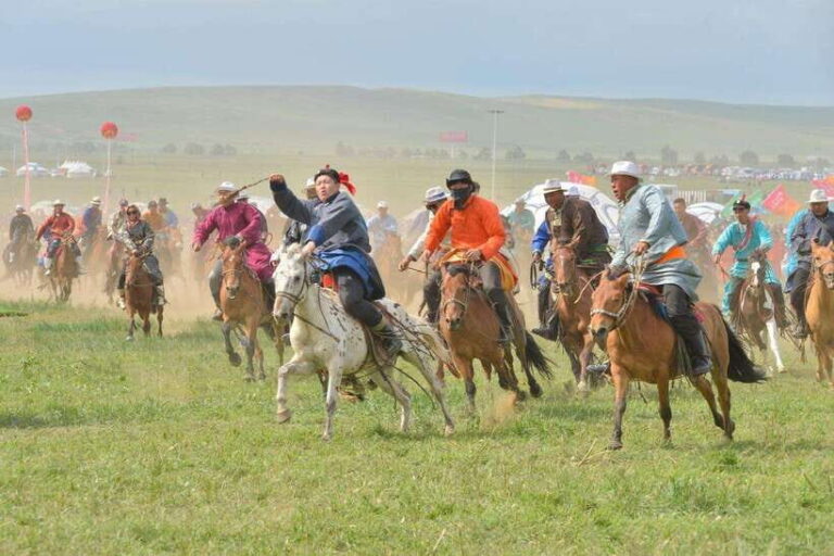 From Hohhot: 8-Day Inner Mongolia Private Tour to Ordos - Why This Tour Offers Great Value