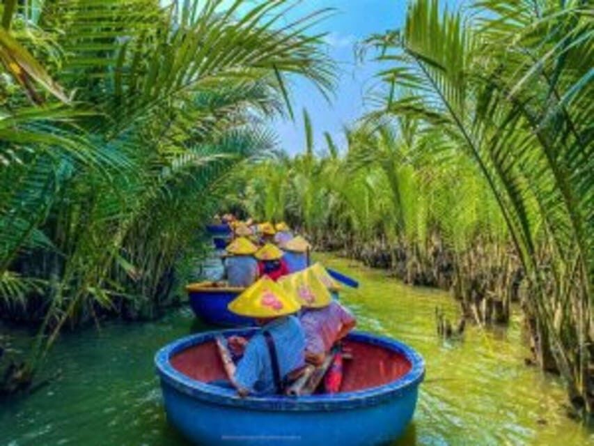 From Hoi An: Bay Mau Coconut Forest Bamboo Basket Boat Ride - Scenic Views and Wildlife Encounters