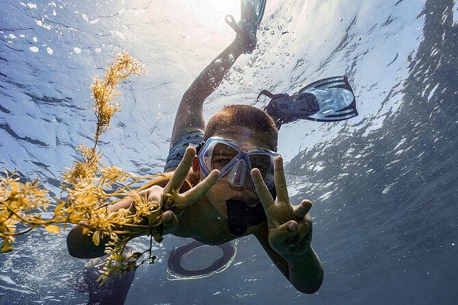 From Hoi An: Cham Islands Snorkeling Tour with Relaxing Beach - The Practicalities: What You Need to Know