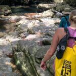 From Hue : Discover the Wonders of Bach Ma National Park - The Transportation and Logistics