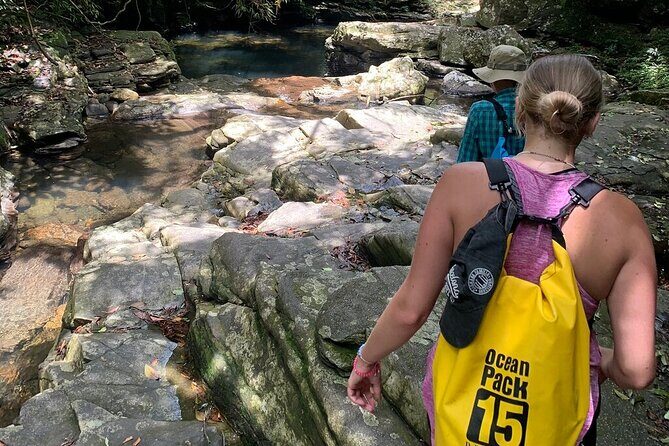 From Hue : Discover the Wonders of Bach Ma National Park - Why This Tour Offers Great Value