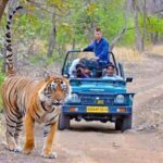 From Jaipur All-Inclusive Ranthambore Tiger Safari Day Tour - Final Thoughts
