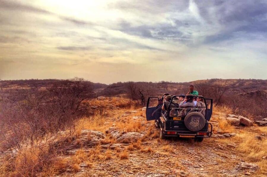 From Jaipur: Praivte Ranthambore Tour By Jeep Canter Safari - Inside Ranthambore National Park: What It’s Like