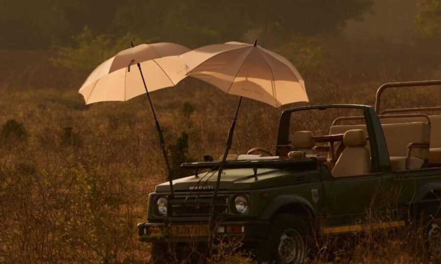 From Jaipur: Ranthambore National Park Day Trip with Safari - What Makes This Tour Stand Out?