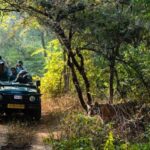 From Jaipur: Ranthambore National Park Safari with Transfers - The Overall Experience: Practicalities and Value