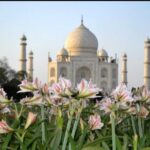 From Jaipur : Taj Mahal & Agra Fort Day Tour with Lunch - Why We Think This Tour Offers Good Value