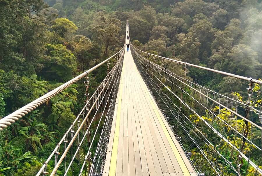 From Jakarta/Bandung: Sky-Bridge & Volcanic Crater Tour - Exploring the Itinerary in Detail
