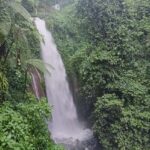 From Jakarta: Bogor Botanical Garden, Ricefield, & Waterfall - In-Depth Look at the Experience