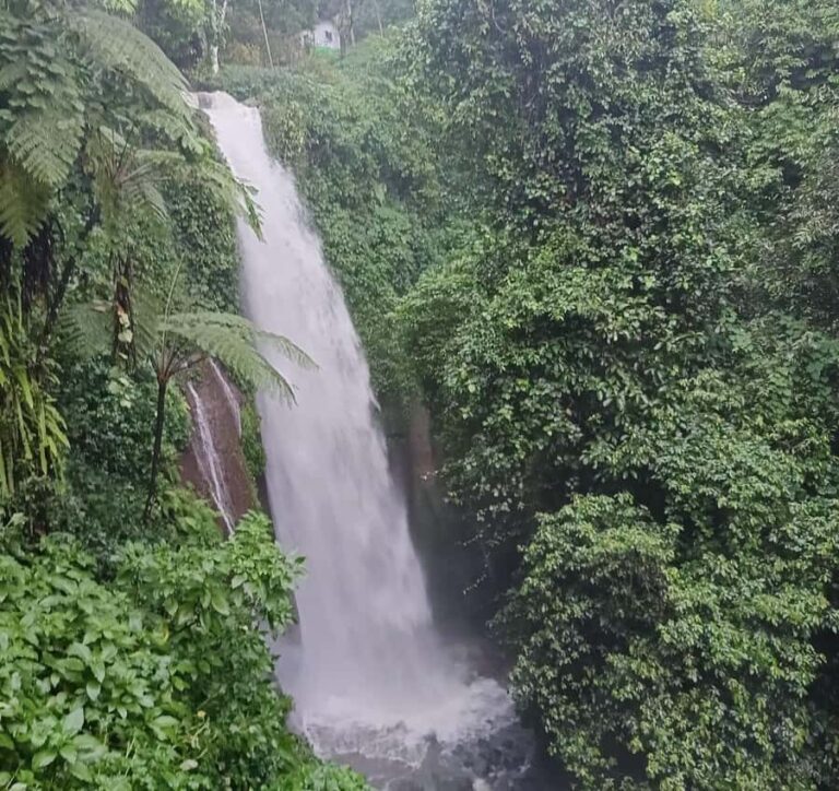 From Jakarta: Bogor Botanical Garden, Ricefield, & Waterfall - In-Depth Look at the Experience
