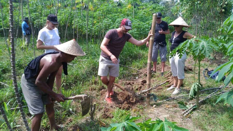 From Jakarta or Bali: Yogyakarta, Java Bali Higlight Tour - Why This Tour Creates a Memorable Journey