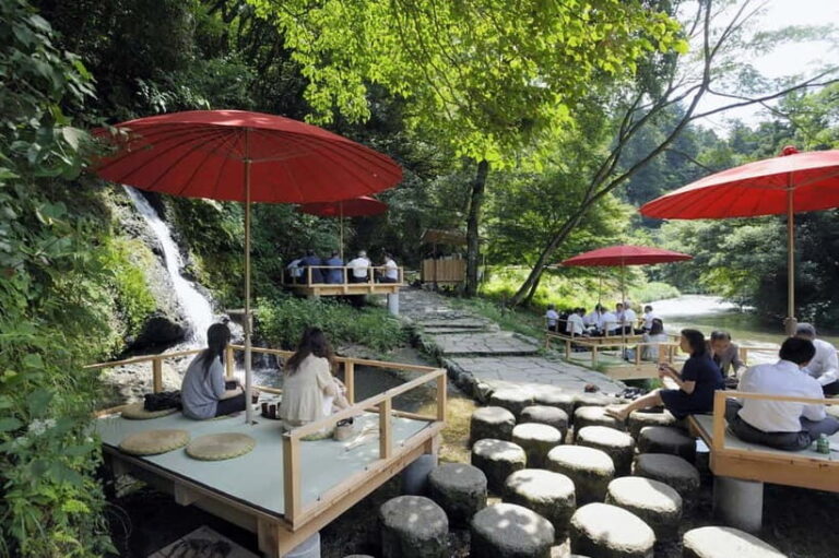 From Kanazawa: Natadera, Craft Village and Geisha Show - The Geisha Performance: A Cultural Treasure